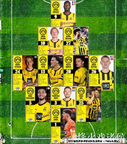 多特蒙德球员出身分类分析 多特蒙德球员出身分类分析