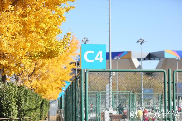 2024钻石杯青少年网球挑战赛总决赛落幕